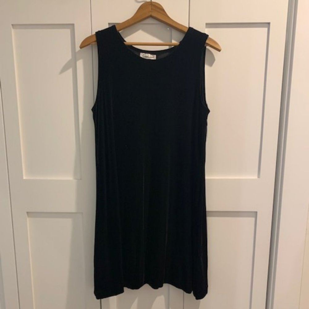 Pappagallo Black Velvet MiniDress, A-Ligned